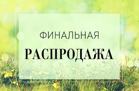 Финальная распродажа